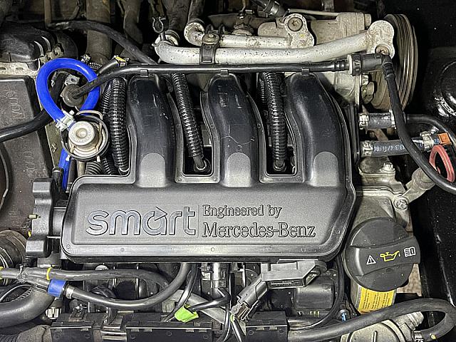 Smart pet5 0478