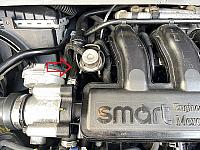 Smart pet5 0005
