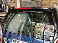 Smart pet5 0767