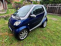 Smart pet5 0002